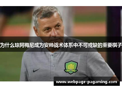 为什么琼阿梅尼成为安帅战术体系中不可或缺的重要棋子 为什么琼阿梅尼成为安帅战术体系中不可或缺的重要棋子