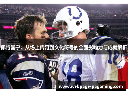 佩特曼宁：从场上传奇到文化符号的全面影响力与成就解析