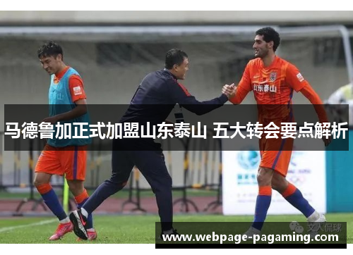 马德鲁加正式加盟山东泰山 五大转会要点解析