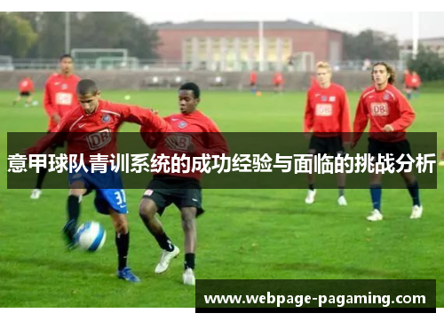 意甲球队青训系统的成功经验与面临的挑战分析